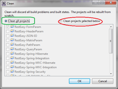 clean project